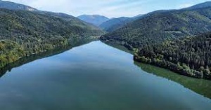 �� ��������� �������� ���������� ����� � ��� ����������� ���